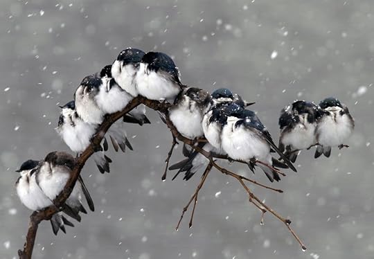 Today’s nature in winter