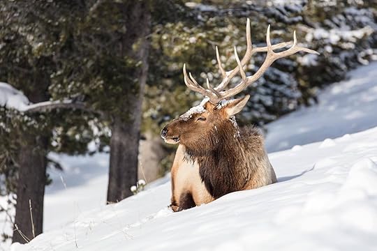 Today’s nature in winter