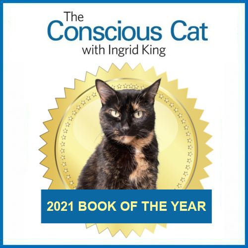 2021-cat-book-of-the-year
