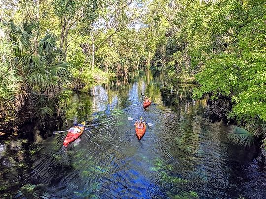 Kayaking in Silver Springs Florida