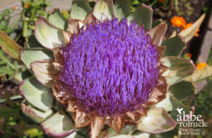 Defiance of Mathematics