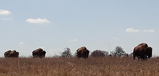 What to do on Easter