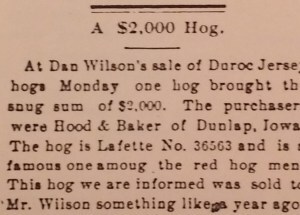 Duroc4 (3)