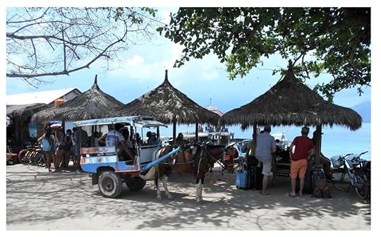Pony and trap taxi: There are no cars or motorised transport on the Gili Islands