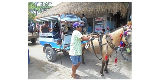 Our pony and trap taxi on Gili Air