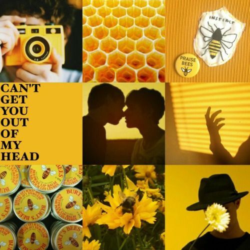 12 Dank Moodboards ideas | mood boards, lunar witch, a history of magic
