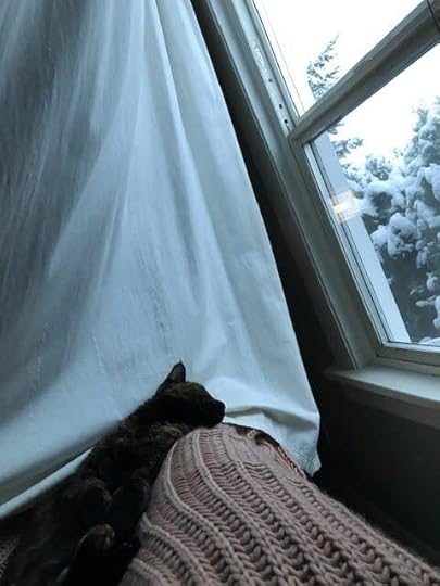 a white curtain is pulled aside to reveal a snowy landscape. in the foreground, a cat rests her head on a blanketed knee.