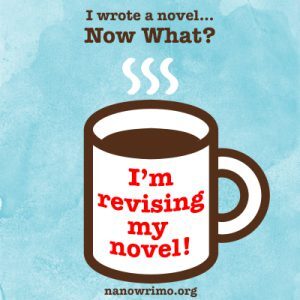 January 2022 Updates: NaNoWriMo What's Next?