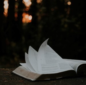 Epiphany--a Bible and light