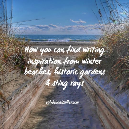 How you can find writing inspiration from a winter beach, historic gardens and sting rays ~ catmichaelswriter.com
