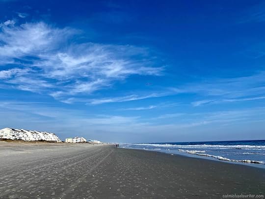 How you can find writing inspiration from a winter beach, historic gardens and sting rays ~ catmichaelswriter.com