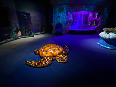 How you can find writing inspiration from a winter beach, historic gardens and sting rays ~ catmichaelswriter.com