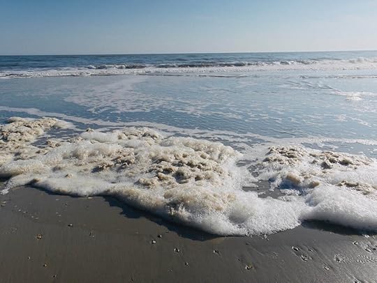 How you can find writing inspiration from a winter beach, historic gardens and sting rays ~ catmichaelswriter.com