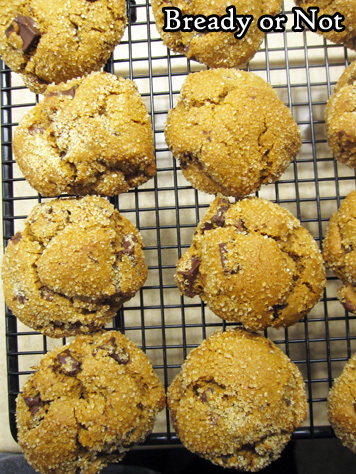 Bready or Not: Gingerbread Chocolate Chip Cookies