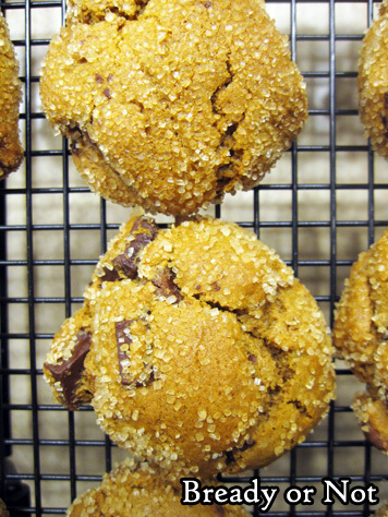 Bready or Not: Gingerbread Chocolate Chip Cookies