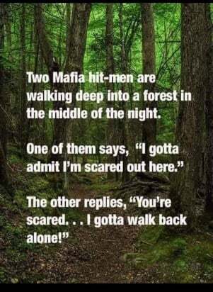 Friday Fun