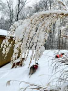 This image has an empty alt attribute; its file name is 271153324_10227156464598898_5915838772463509143_n.jpg