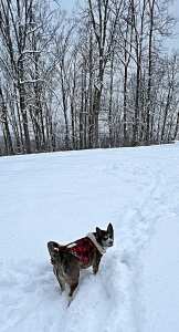 This image has an empty alt attribute; its file name is 271595768_10227156464678900_8901671321009268632_n.jpg