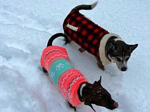 This image has an empty alt attribute; its file name is 270804292_10227156464958907_5954093681274789392_n.jpg