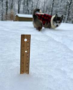 This image has an empty alt attribute; its file name is 271587677_10227156464758902_1226285220560605710_n.jpg