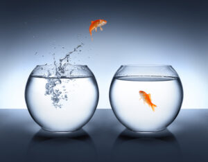 Fish jumping from one bowl to another