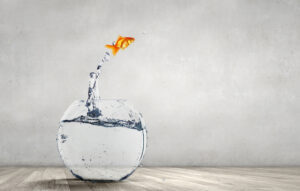 Fish jumping out of its bowl with nowhere to go