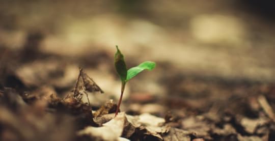 Hope represented by green sprout among dead leaves