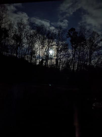 the winter moon rises through stark, black trees