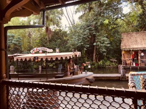 Jungle cruise