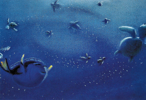 Finding Nemo (2003)