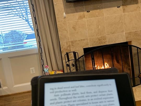reading kindle in front of fireplace