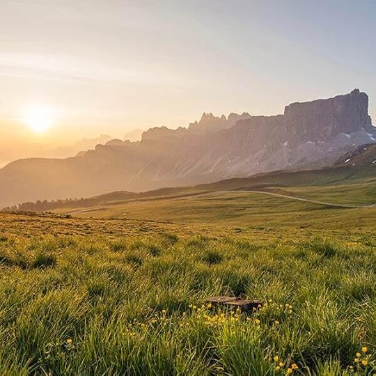 Racial Anxierty Relief