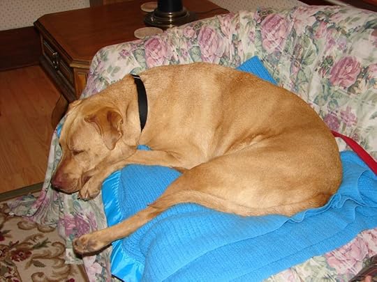 Buddy Mike Boyd's best friend