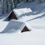 brown wooden house covered with snow near pine trees