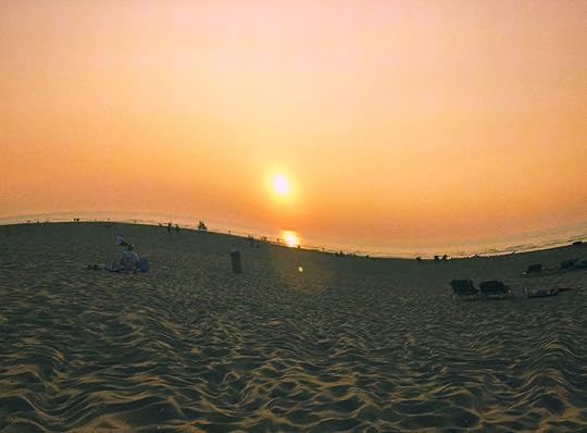 doing magic mushrooms on dutch beach