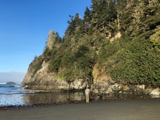 Moonstone beach