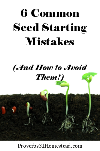 Common Seed Starting Mistakes and How to Avoid Them