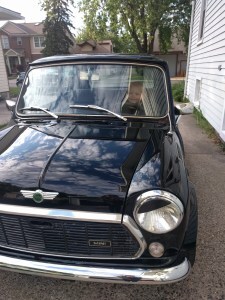 Mini from the front