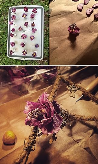 A Second Succession 7