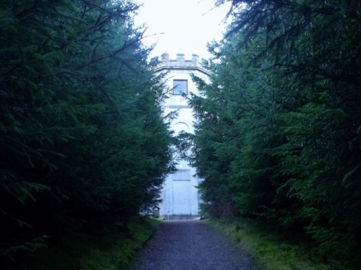 tower in Drinnie's Wood