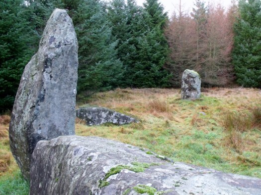 Loudon Wood Stone Circle by Drinnie's Wood