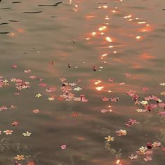 This contains an image of: 