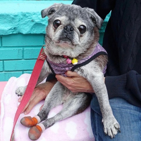 Screen-shot-2022-01-18-at-62618-pm