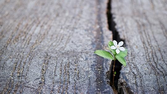 How Hope Motivates Your Team to Make Real Change, According to a Psychologist | Inc.com