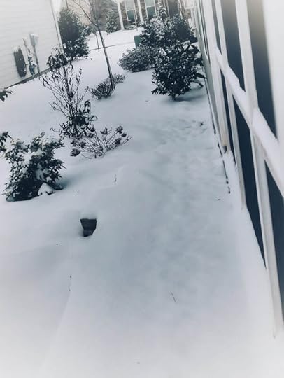 Weather outside is frightful but our southern snow daze is delightful ya'll ~ catmichaelswriter.com