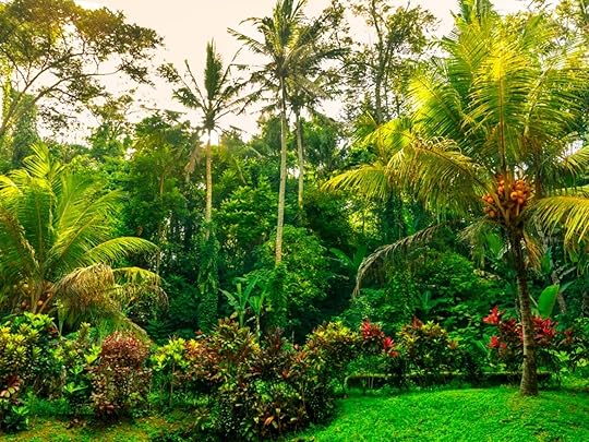 Growing An Exotic Jungle Garden - How To Create A Jungle Garden