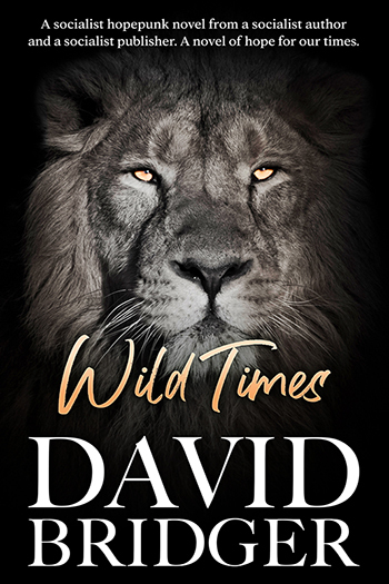 Wild Times Cover