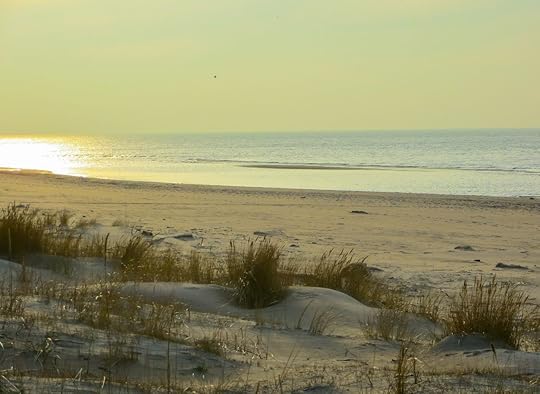 Vecaki Beach in Latvia