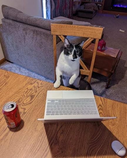 Smudge at the computer.