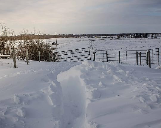 snow-drifting